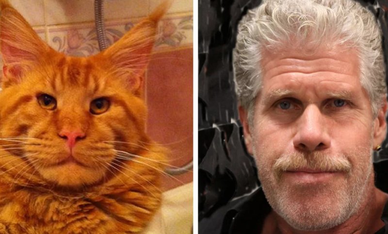 Рон Перлман актер