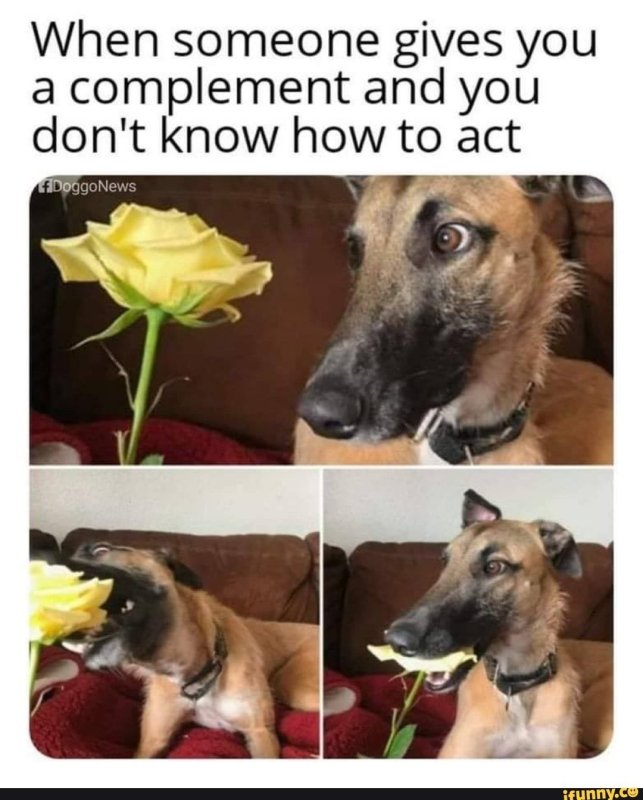 Когда не знаешь как реагировать на комплимент Мем