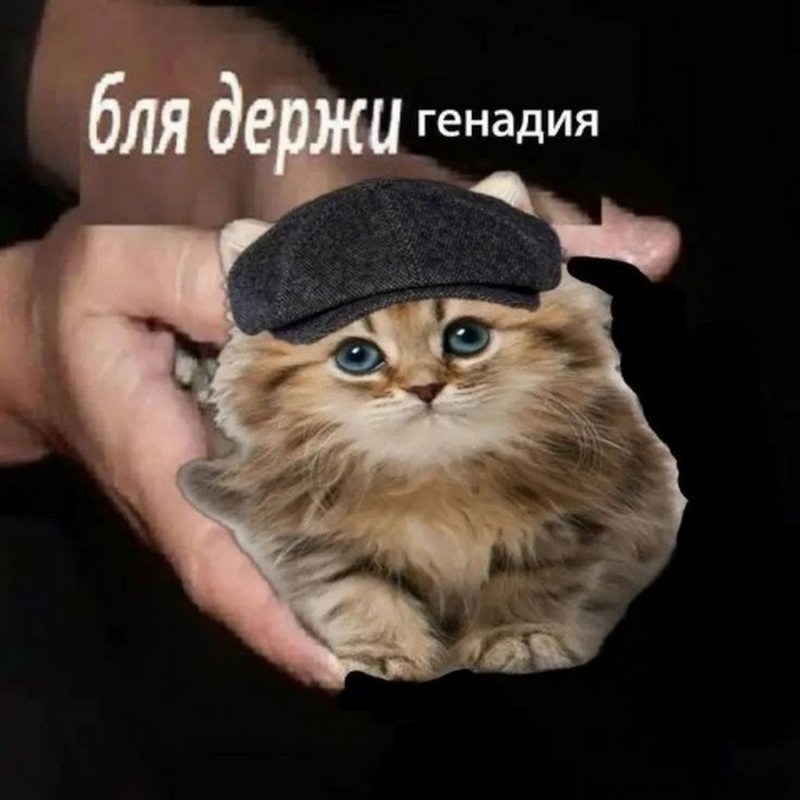 Мем держи Геннадия