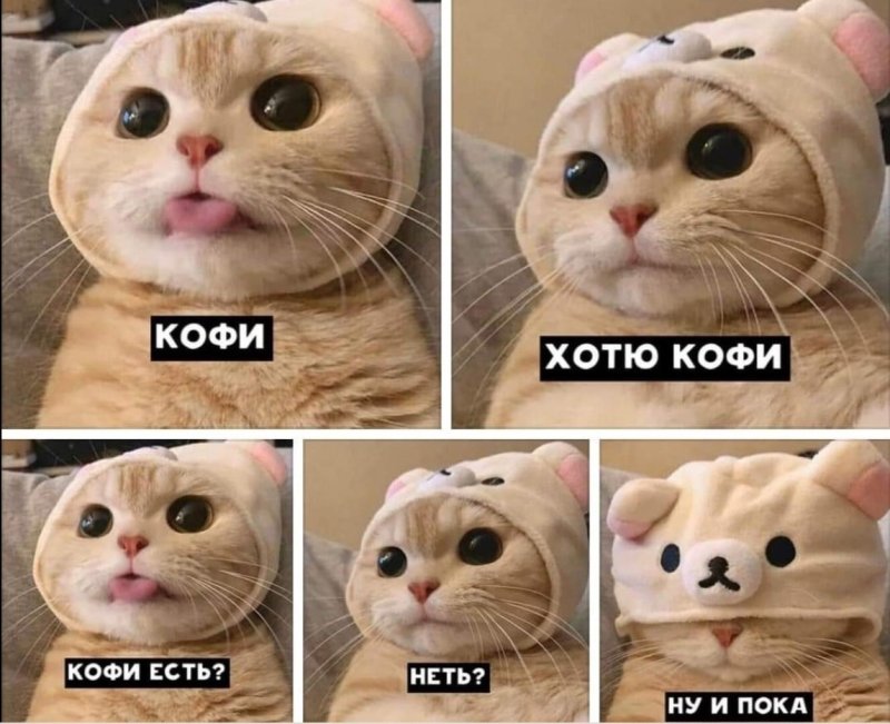 Кофе Мем с котом
