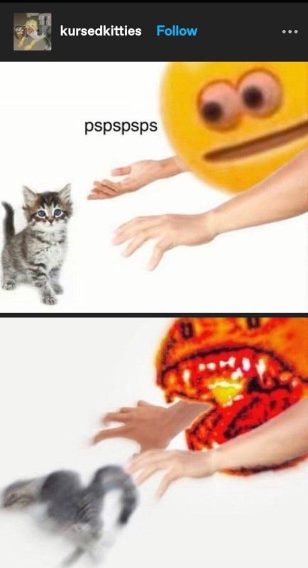 Сжимать кота