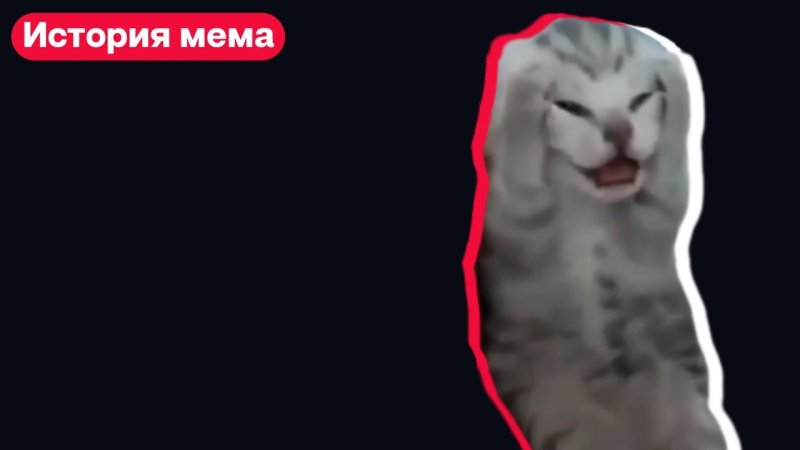 Котенок закрыл уши и кричит Мем