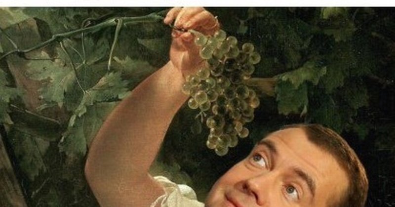 Смуглянка Молдаванка собирает виноград