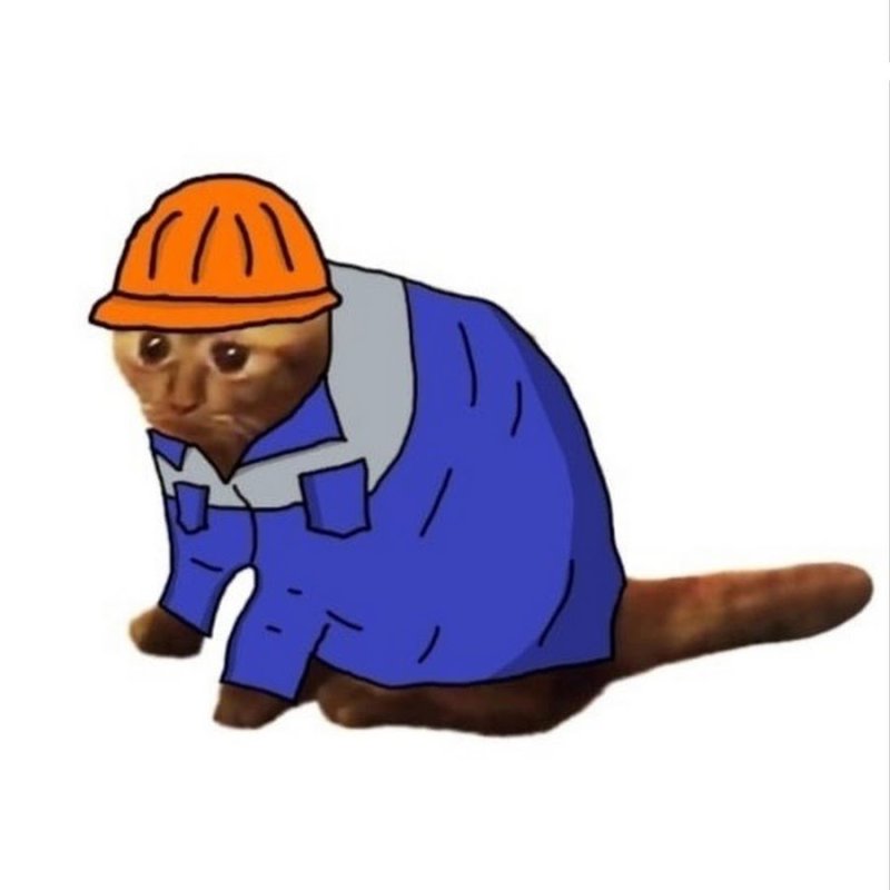 Котик инженер в каске