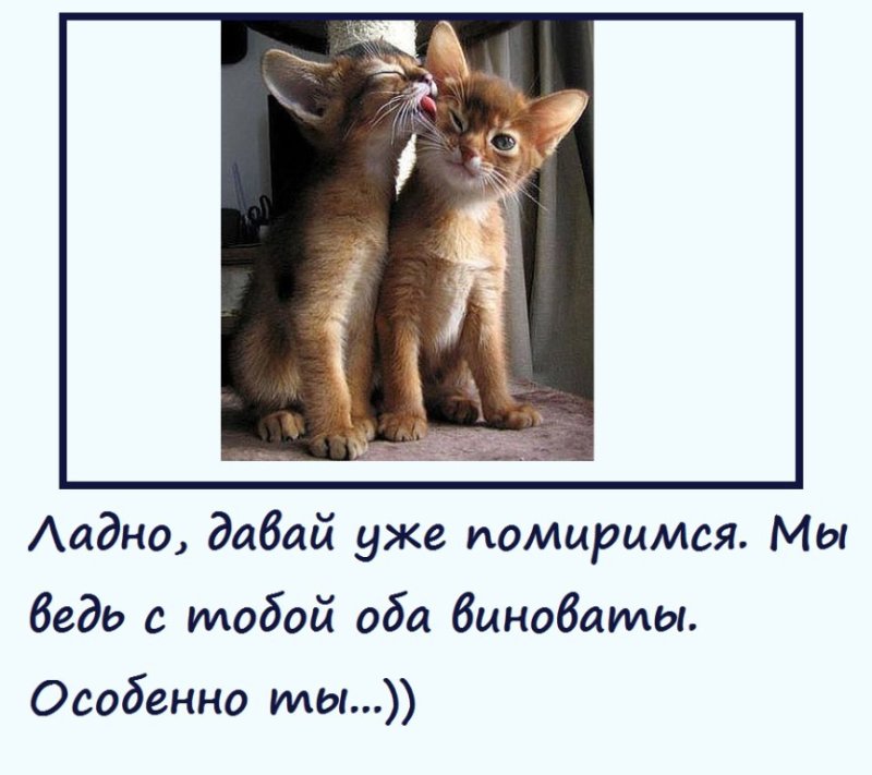 Чтобы помириться с парнем