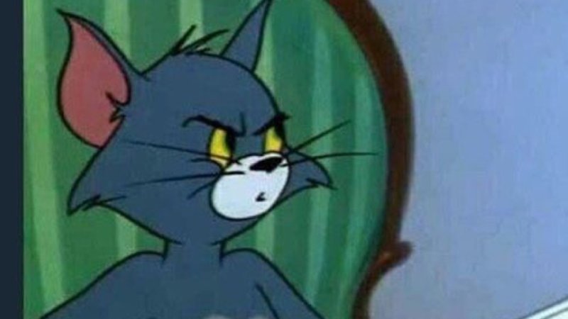 Кот том с газетой