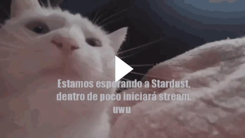 Белый кот флексит