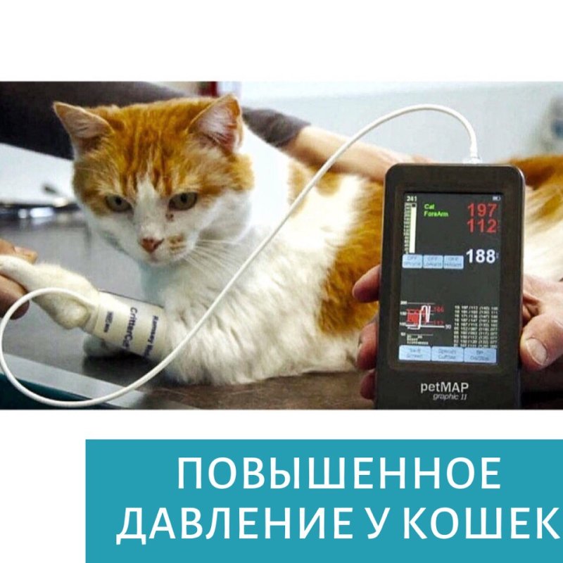 Ветеринарный тонометр PETMAP graphic II