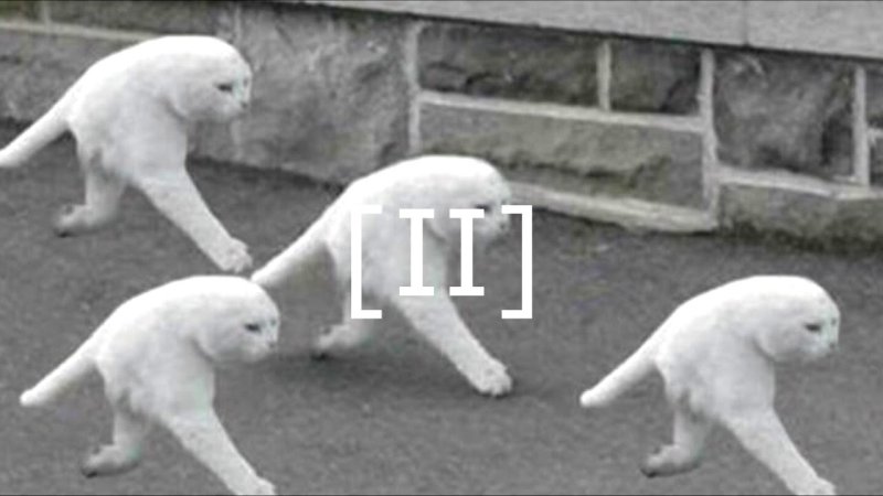 Двуногий кот