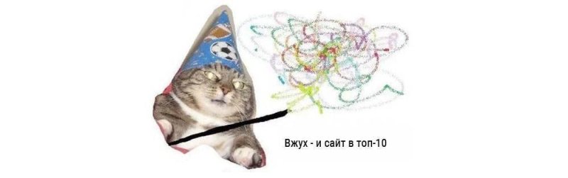 Кот с палочкой вжух