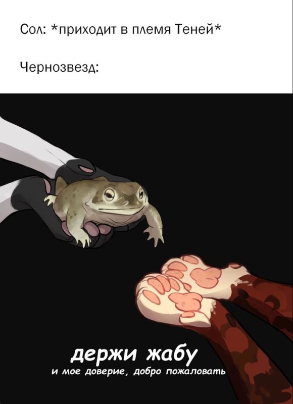 Коты Воители мемы