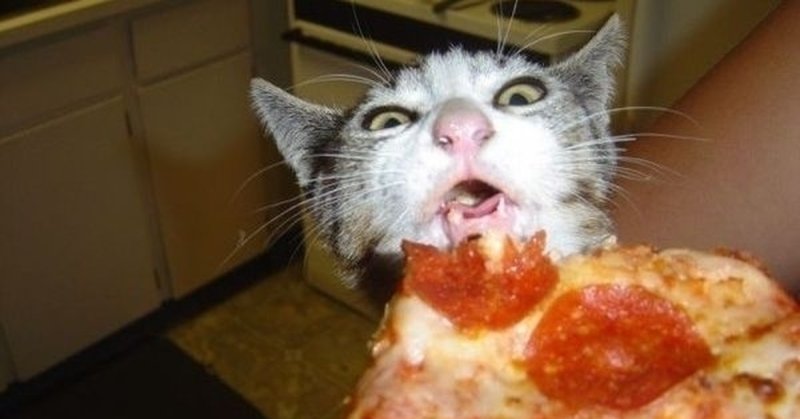 Объелся пиццы