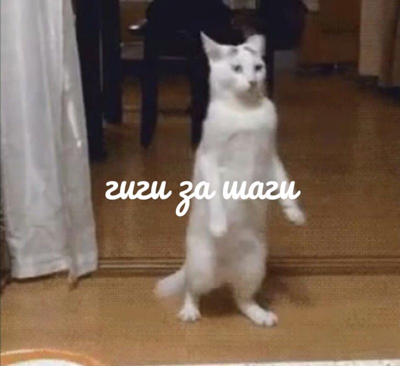 Котенок на двух лапах