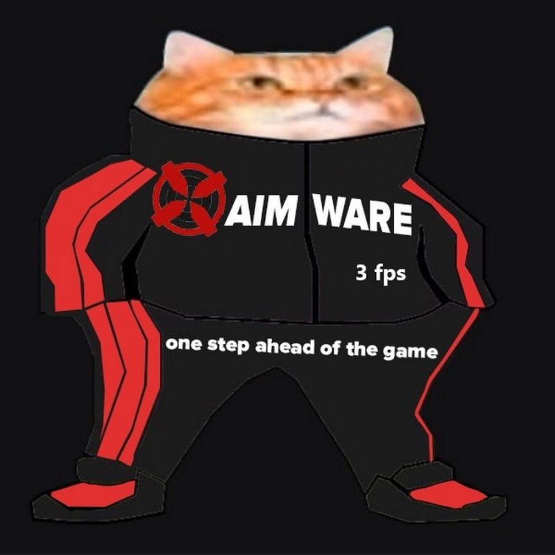 Кот в спортивном костюме