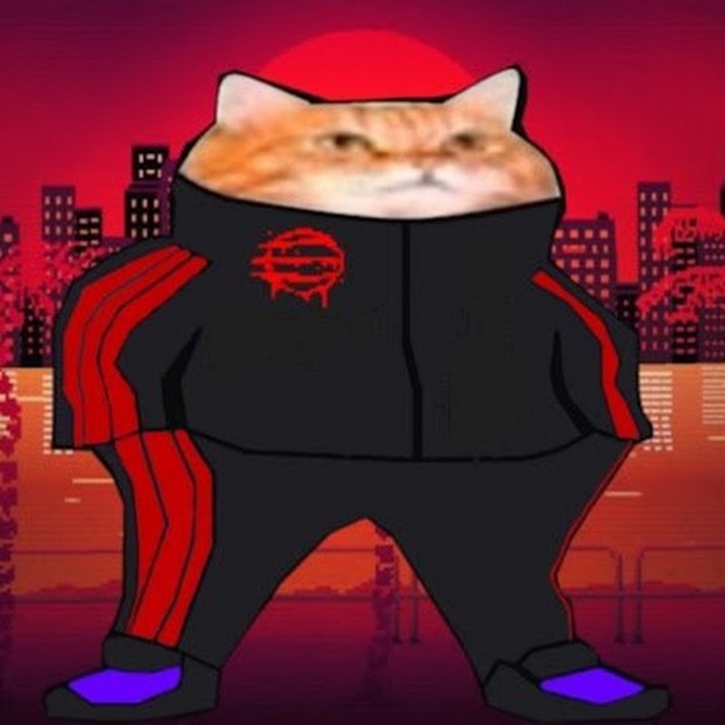 Коты в адидасе для КС го