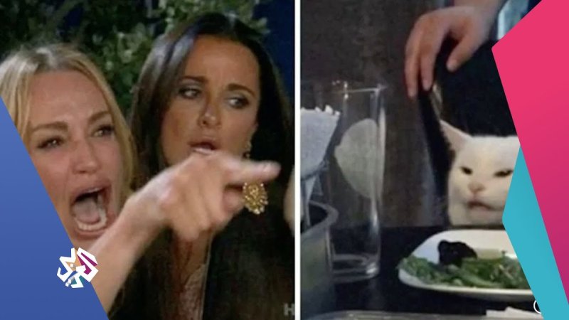 Мем с котом за столом в хорошем качестве