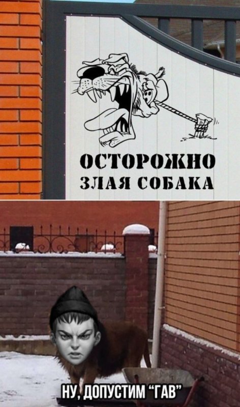 Мемы осторожно злая собака
