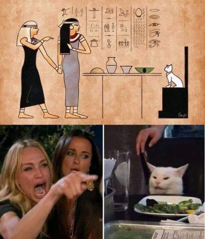Мемы с котом за столом