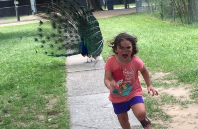 Девочка бежит Мем