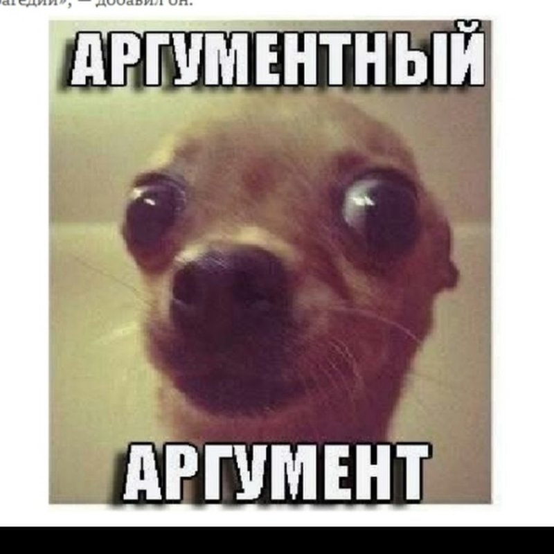 Аргументный аргумент собака оригинал