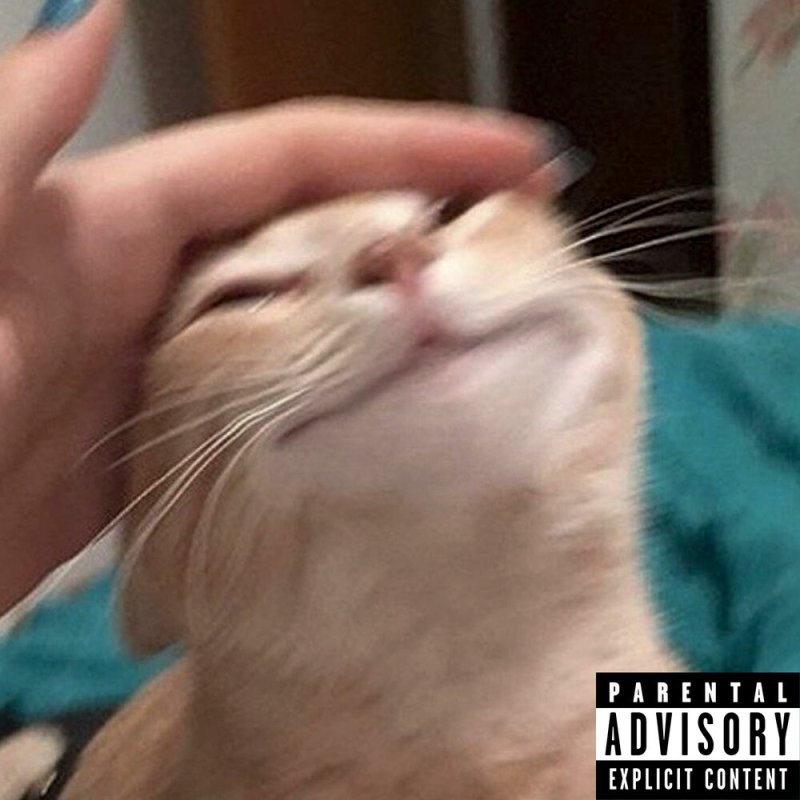 Гладить кота