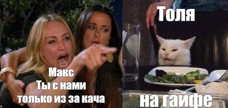 Мемы про кота и двух женщин