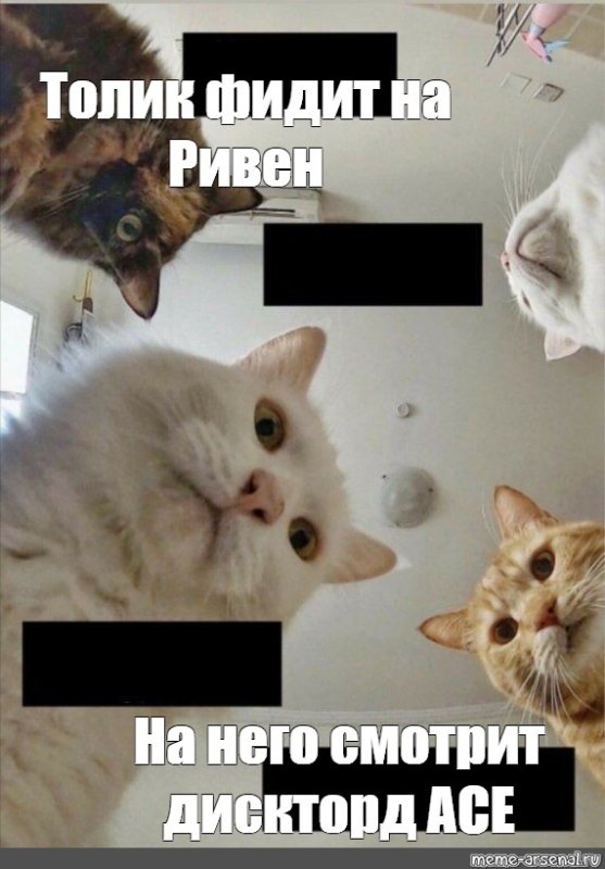 Кот Толик Мем