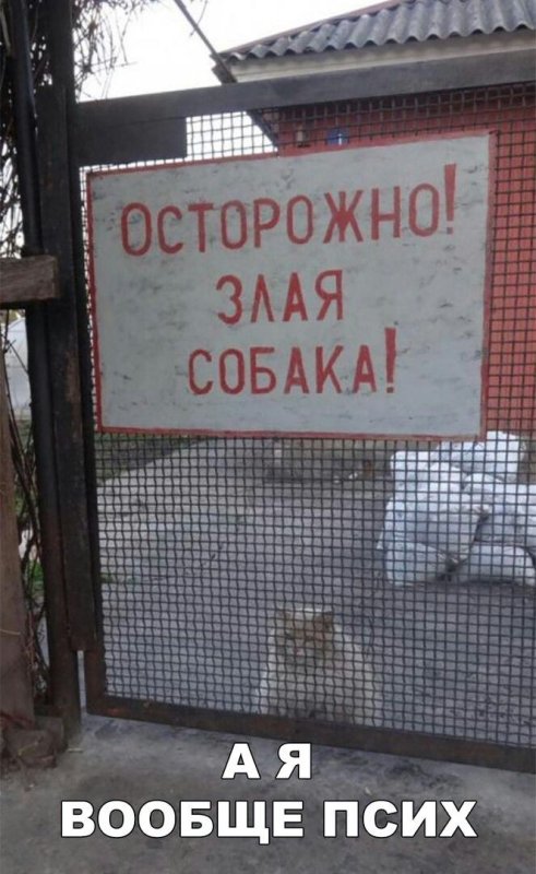 Злая собака Мем