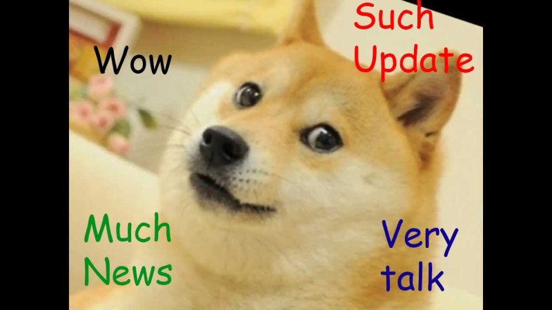 Собака из мема