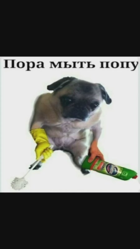 Попу мыть