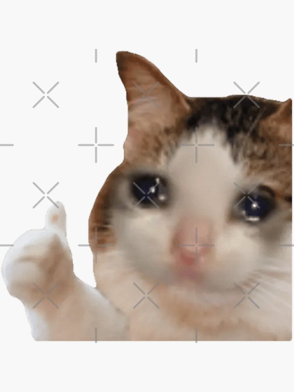 Плачущий кот