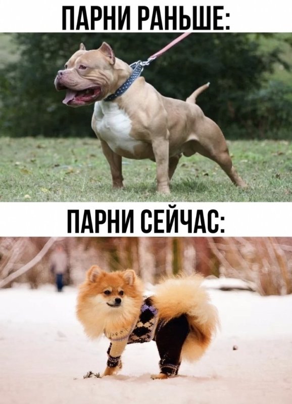 Мужчины раньше и сейчас Мем