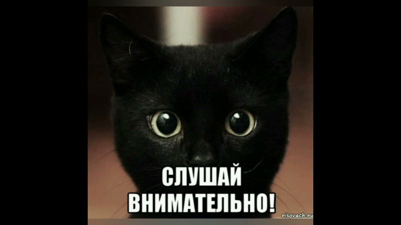 Слушай внимательно