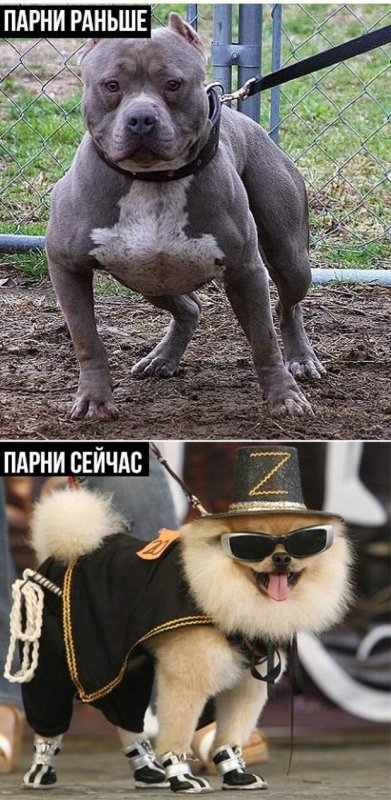 Мужчины раньше и сейчас Мем