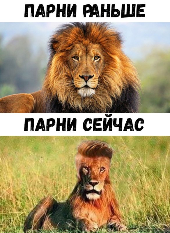 Мужчины раньше и сейчас