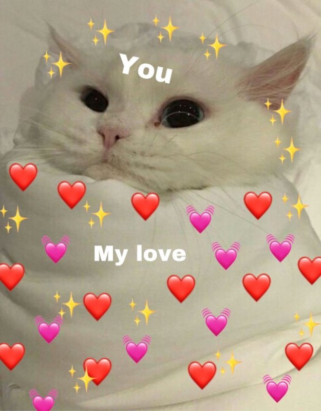 Милые котики с сердечками