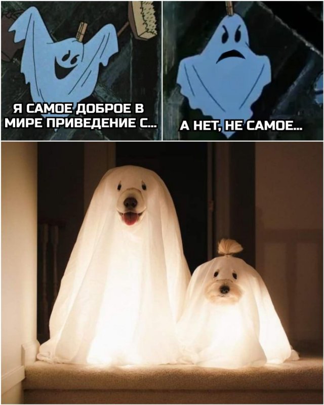 Смешное приведение