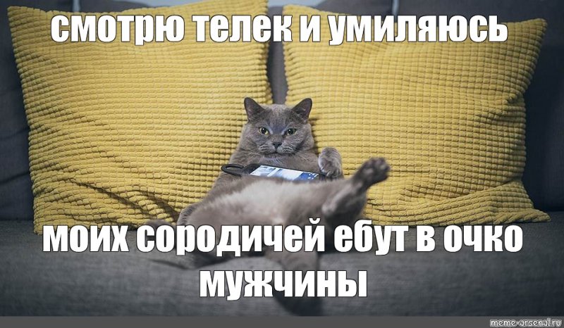 Мужик умиляется котенку Мем