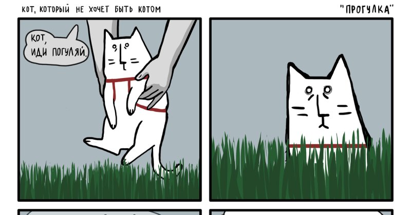 Мемы с котиками