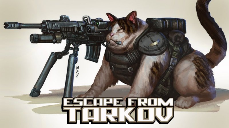 Escape from Tarkov коты