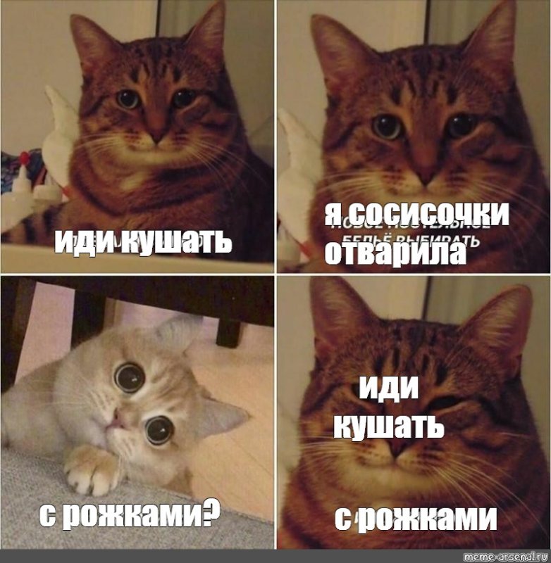 Когда кушать кот