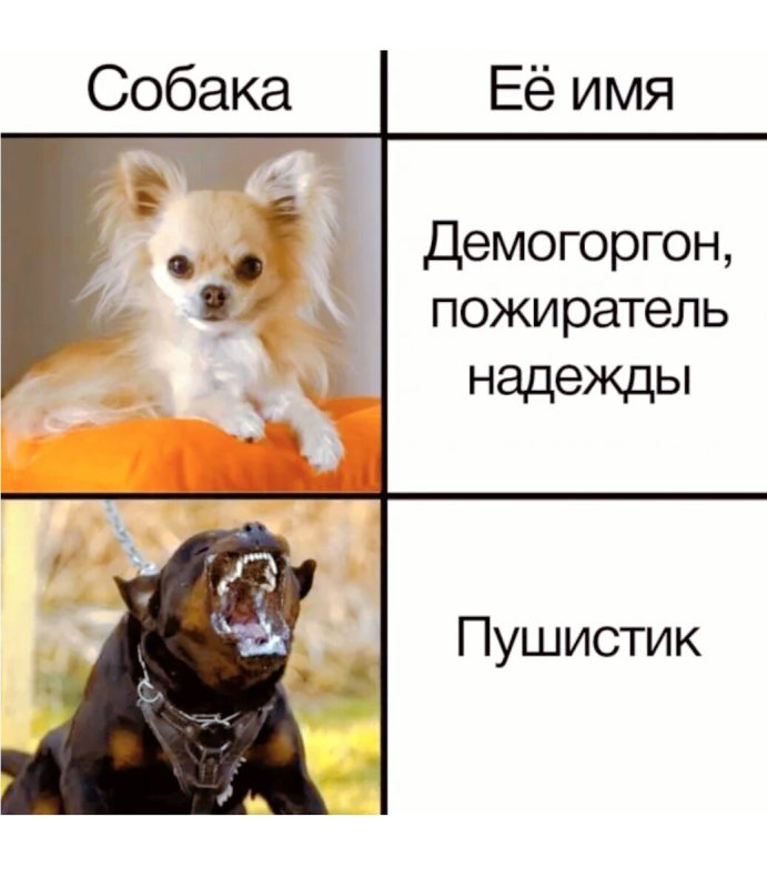 Смешные собаки мемы