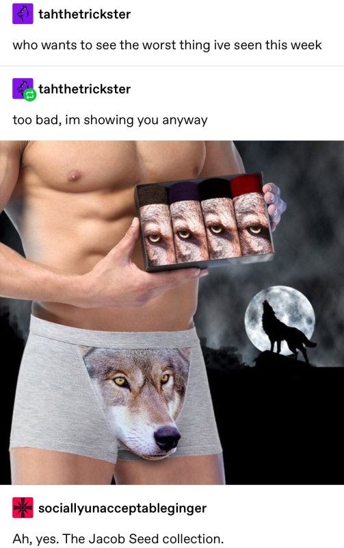 Изображение волка трусы