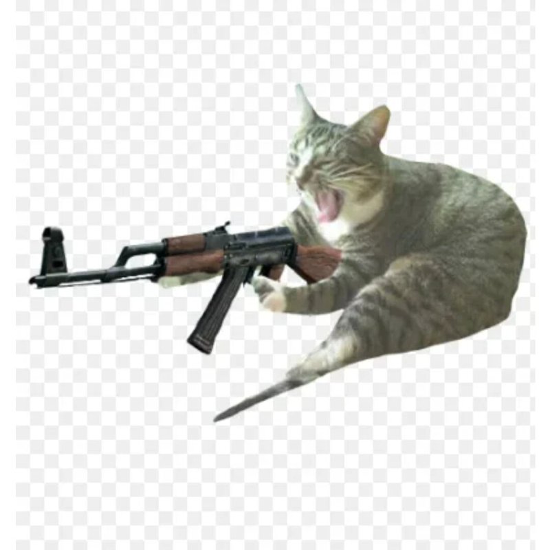 Котенок с автоматом