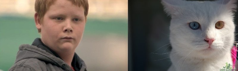 Рыжий пацан удивлен