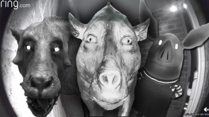 Деодон кабан