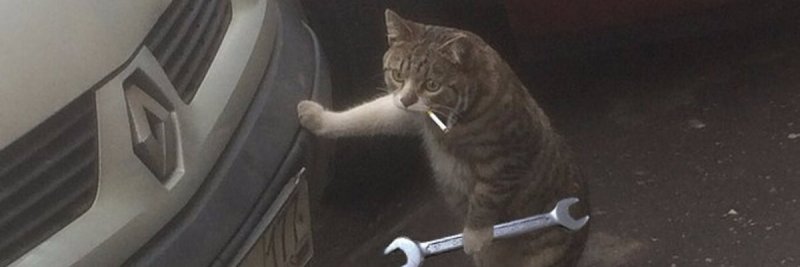 Кот механик