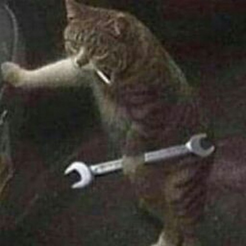 Котик чинит машину