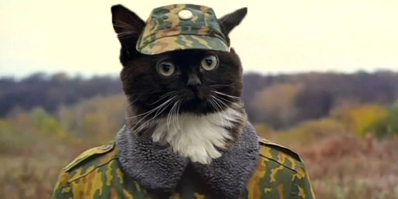 Чмоня Пупсич