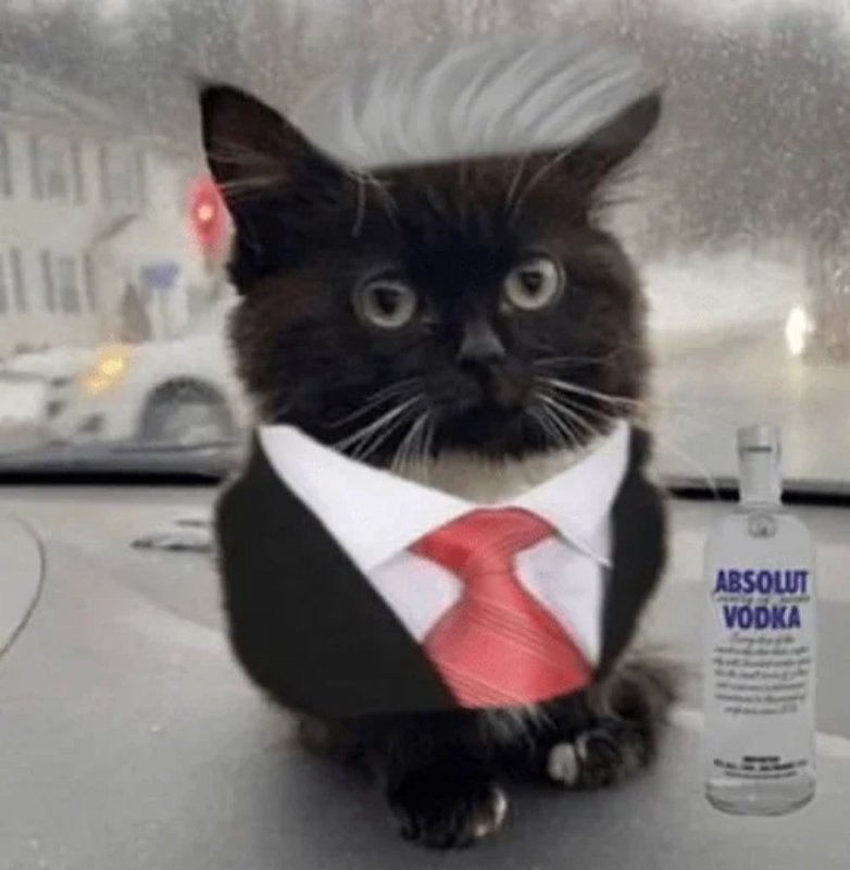 Чмоня ФОТОЛУПЫ